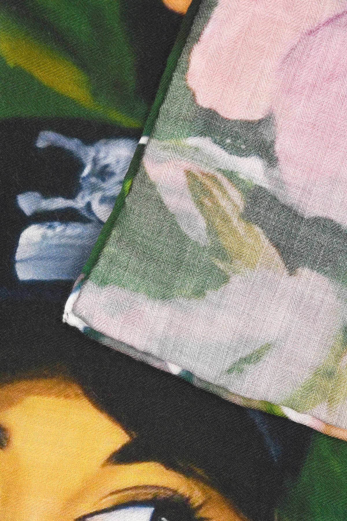 PAREO CLOPE AU MUSEAU