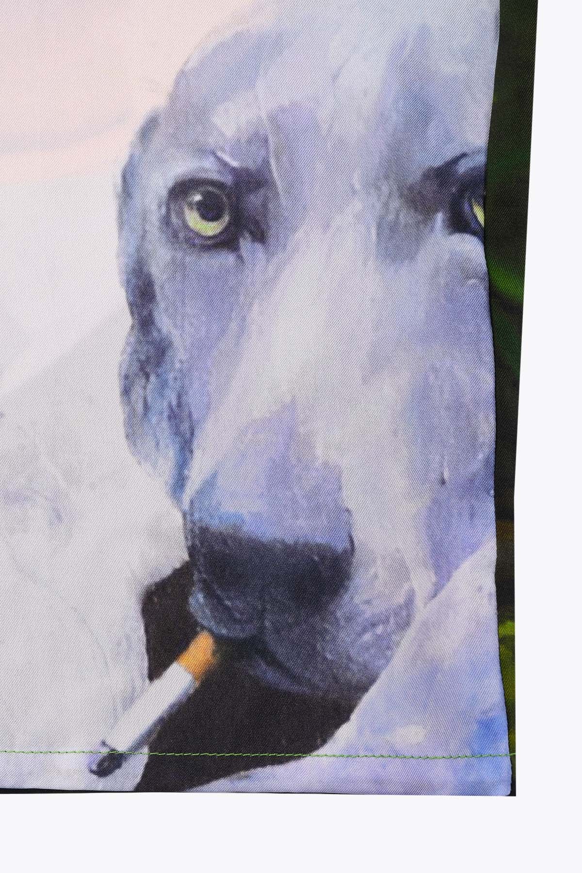 CHEMISE SOIE HOMME MANCHES LONGUES GALERIE 75 CLOPE AU MUSEAU