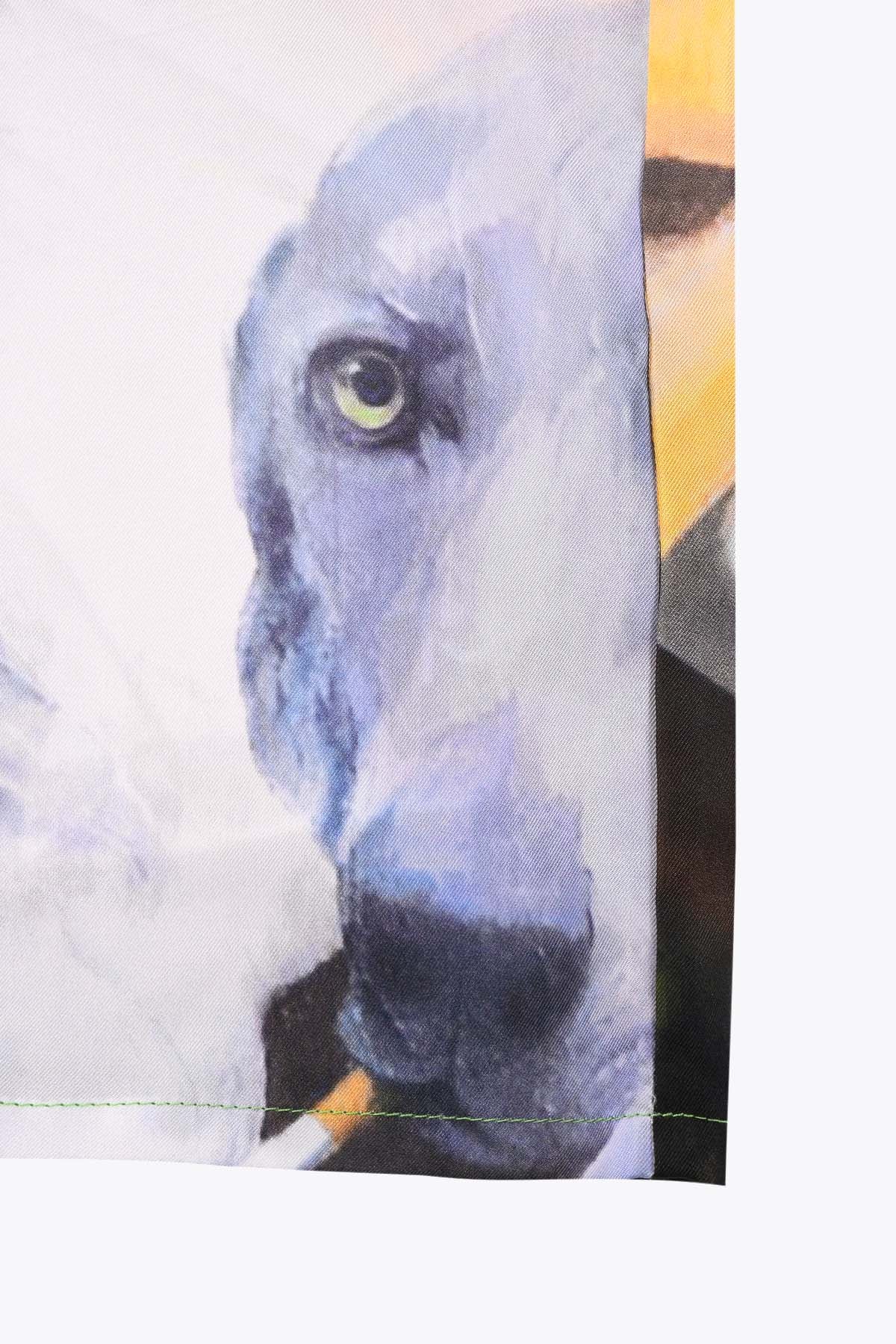 CHEMISE HOMME MANCHES COURTES CLOPE AU MUSEAU