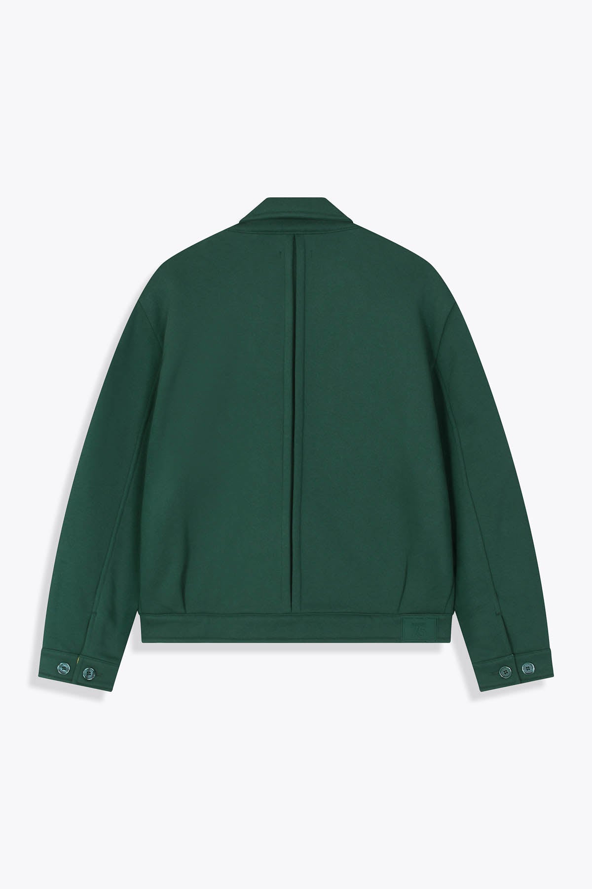 Veste_verte_vue_de_dos_skio_Asian_Spleen_Galerie_75